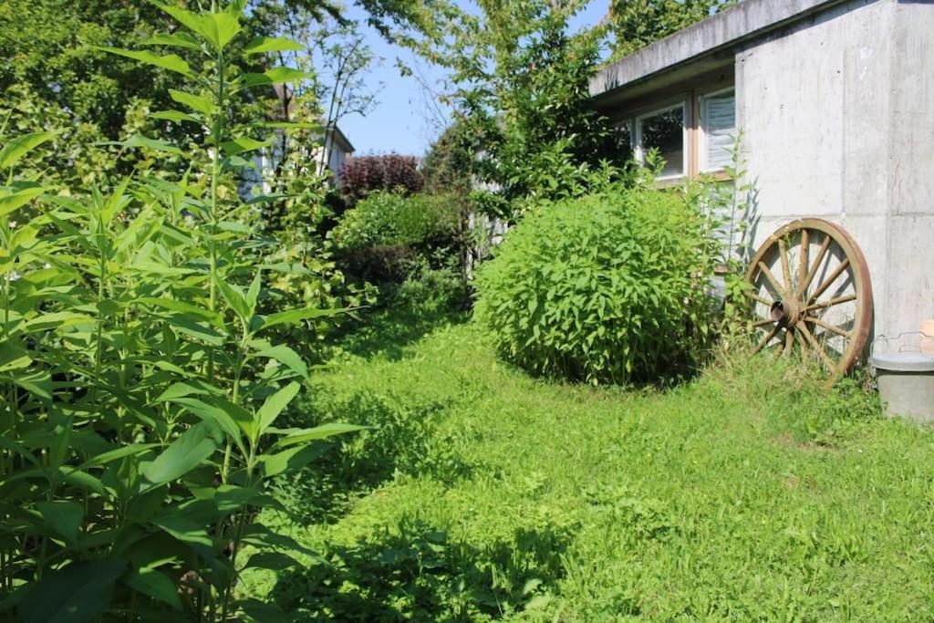 Erholung Mit Seesicht, Terrasse Und Garten Uberlingen Exterior foto